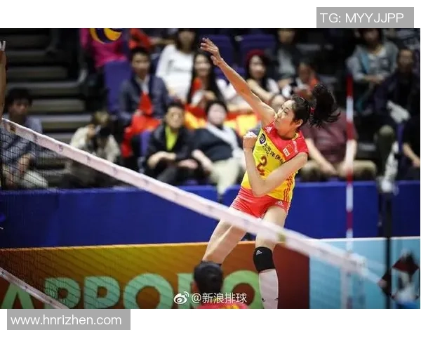 权威发布：2023年排球各队状态与实力综合排名分析报告