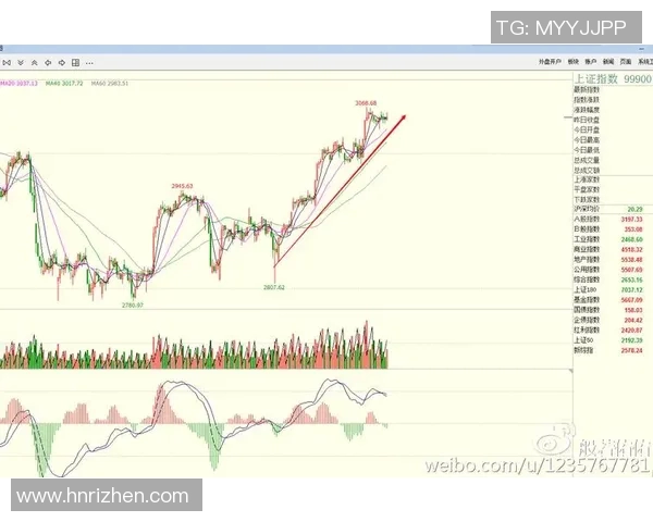 深圳网球队防守策略深度解析与战术应用探讨